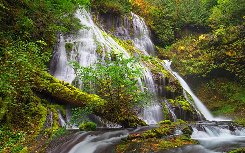 Rosie an Expat in Japan